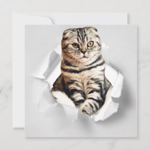 Funny Grey Cat Popping thru Torn Paper Illusion