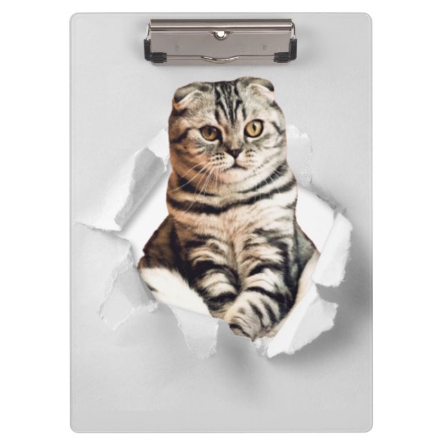 Funny Grey Cat Popping thru Torn Paper Illusion  Clipboard (Front)