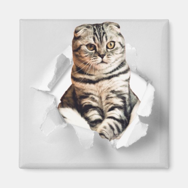 Funny Grey Cat Popping thru Torn Paper Illusion  Magnet (Front)