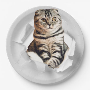 Funny Grey Cat Popping thru Torn Paper Illusion Plate