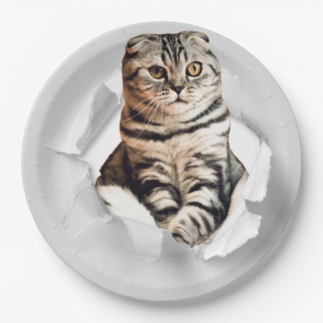 Funny Grey Cat Popping thru Torn Paper Illusion Plate (Front)