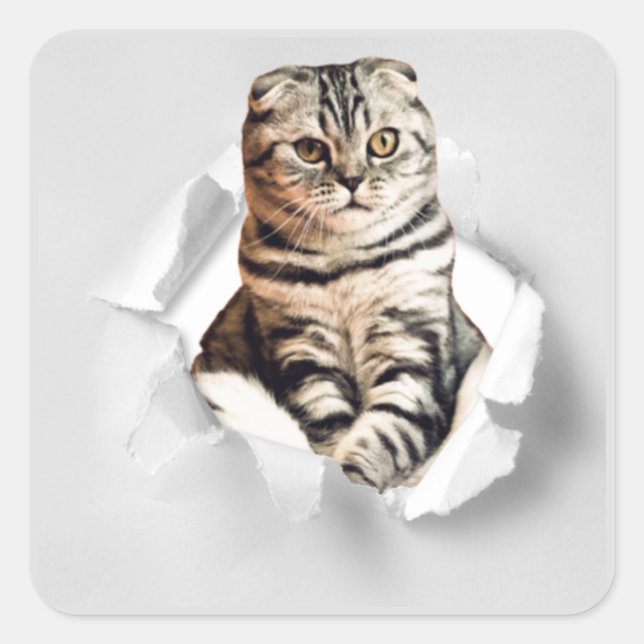 Funny Grey Cat Popping thru Torn Paper Illusion Square Sticker (Front)