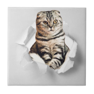 Funny Grey Cat Popping thru Torn Paper Illusion Tile