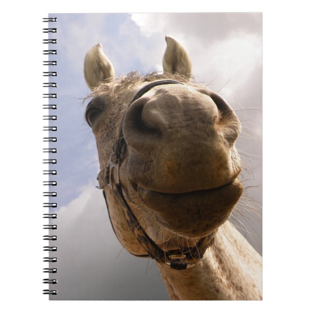Funny Grey Horse Nose Close Up Spiral Notebook (Front)