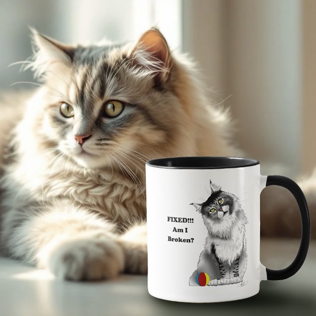 Funny Grey Maine Coon Cat Fixed  Mug (Creator Uploaded)