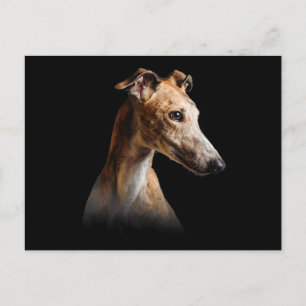Funny Greyhound Face Greyhound Smile greyhound Holiday Postcard
