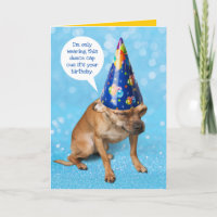 Funny Grimacing Chihuahua Birthday Dunce Cap
