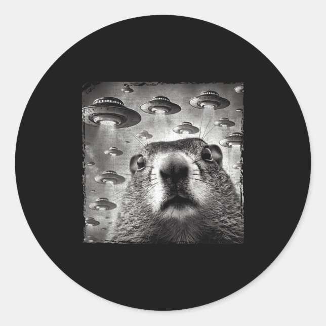 Funny Groundhog Selfie With Alien Ufos Groundhog D Classic Round Sticker (Front)