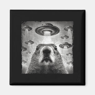 Funny Groundhog Selfie With Alien Ufos Groundhog D Magnet