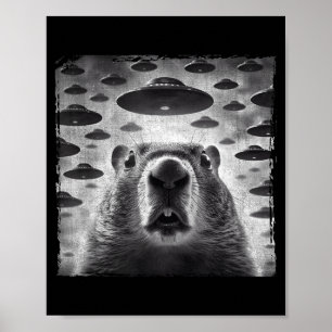 Funny Groundhog Selfie With Alien Ufos Groundhog D Poster