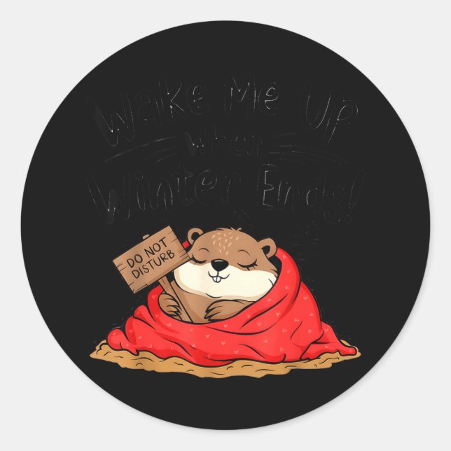Funny Groundhog Wake Me Up When Winter Ends Ground Classic Round Sticker (Front)