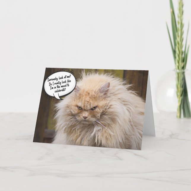 Funny Grumpy Cat Birthday Greeting Card  (Front)