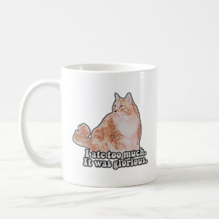 Funny grumpy cat meme for cat and kitty lovers coffee mug