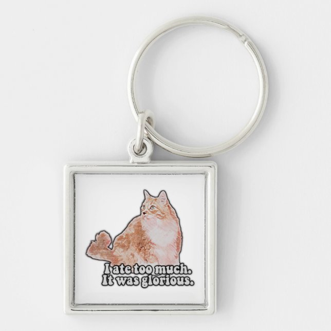 Funny grumpy cat meme for cat and kitty lovers key ring (Front)