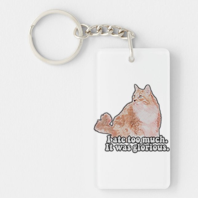 Funny grumpy cat meme for cat and kitty lovers key ring (Front)