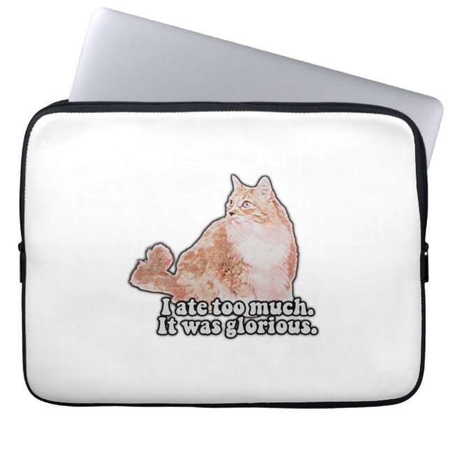 Funny grumpy cat meme for cat and kitty lovers laptop sleeve (Front)
