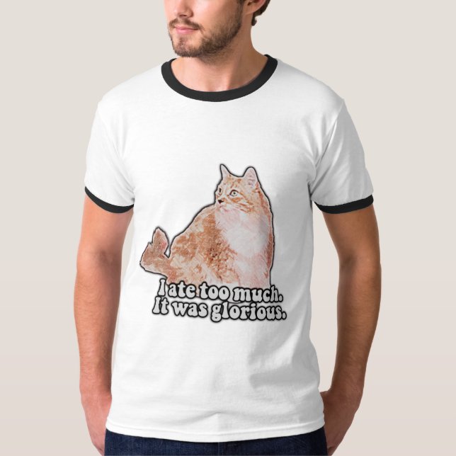 Funny grumpy cat meme for cat and kitty lovers T-Shirt (Front)
