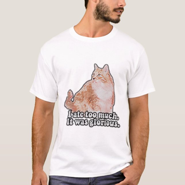 Funny grumpy cat meme for cat and kitty lovers T-Shirt (Front)