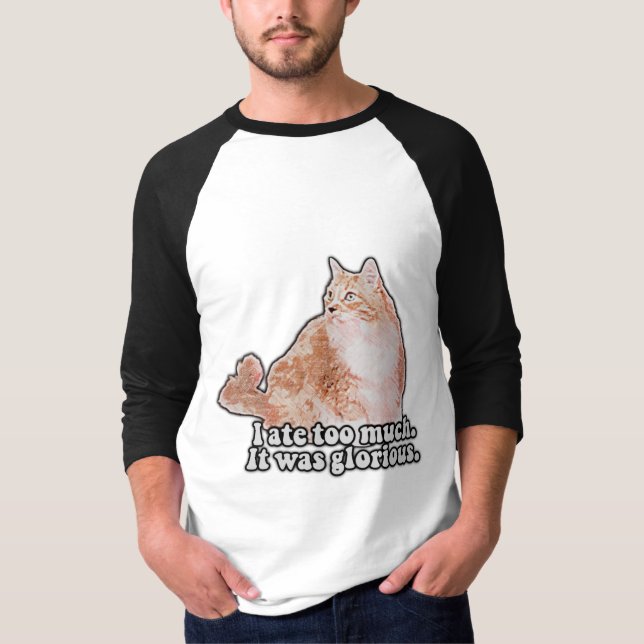 Funny grumpy cat meme for cat and kitty lovers T-Shirt (Front)