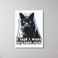 Funny grumpy cat meme for cat owners and lovers