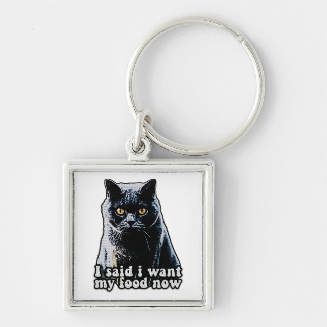 Funny grumpy cat meme for cat owners and lovers key ring (Front)