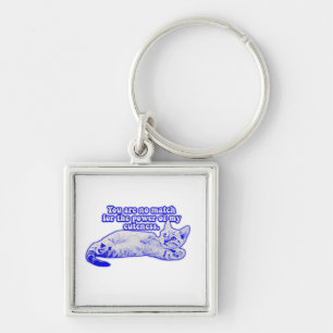 Funny grumpy cat meme for kitten and cat lovers key ring