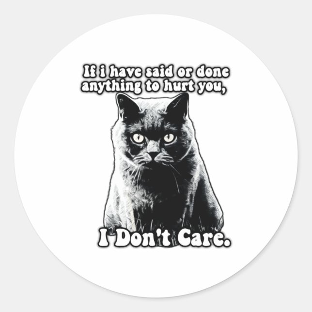 Funny Grumpy Cat Meme For Kitten Persons Owners T  Classic Round Sticker (Front)