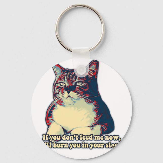 Funny grumpy cat meme for kitty owners and lovers key ring (Front)
