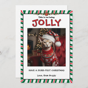 Funny Grumpy Sphynx Cat in Sweater Custom Holiday Card