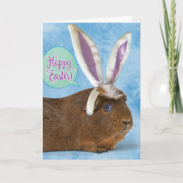 Funny Guinea Pig Photo– Don't Eat Chocolate Eggs Card