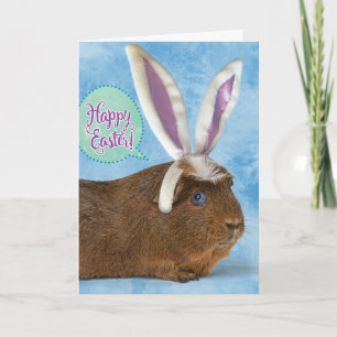 Funny Guinea Pig Photo– Don't Eat Chocolate Eggs Card