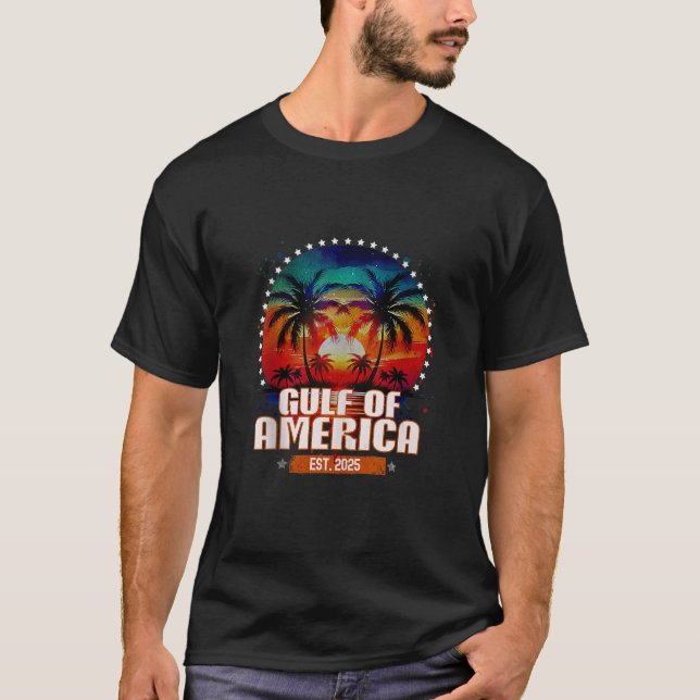 Funny Gulf of USA America Gulf of Mexico Never For T-Shirt (Front)
