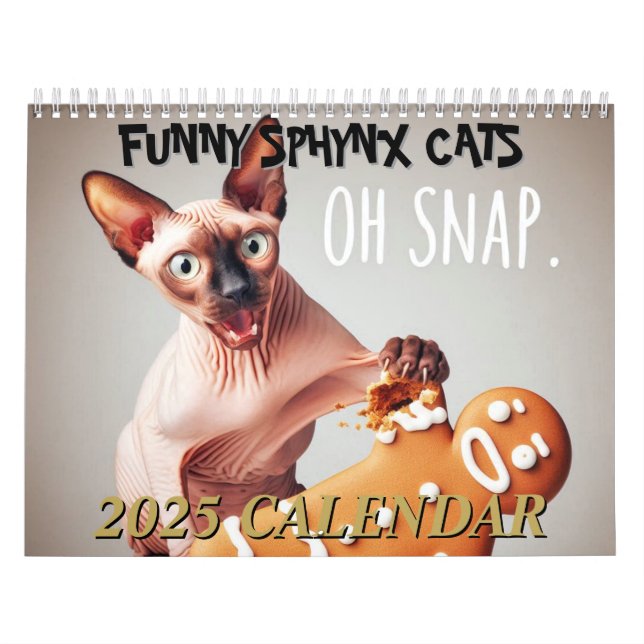 Funny Hairless Sphynx Cats Modern Wall Calendar (Cover)