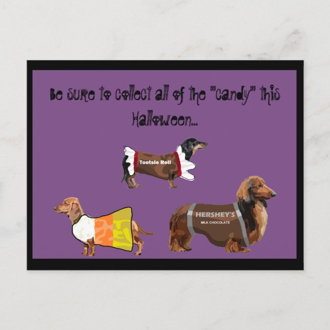 Funny Halloween Collect Candy Dogs Postcard (Front)