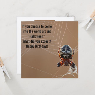 Funny Halloween Spider Birthday Card