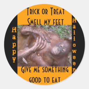 Funny Halloween Trick or Treat stickers