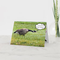 Funny Happy Belated Birthday Goose