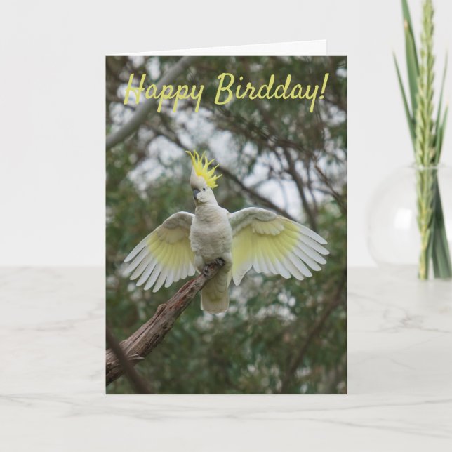 Funny Happy Bird Day Birthday Cockatoo Australia Card (Front)