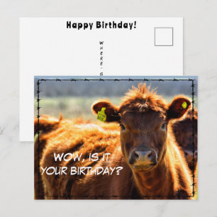 Funny Happy Birthday Country Farm Mail Farm Tales Postcard