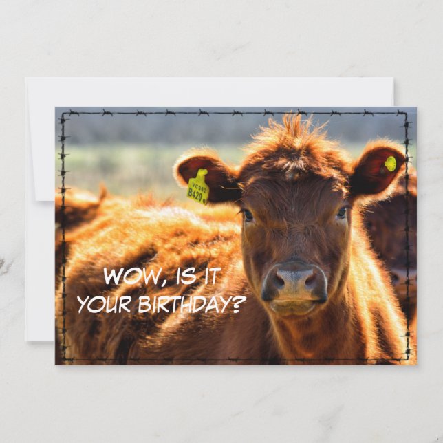 Funny Happy Birthday Country Mail Tales From Farm  Holiday Card (Front)