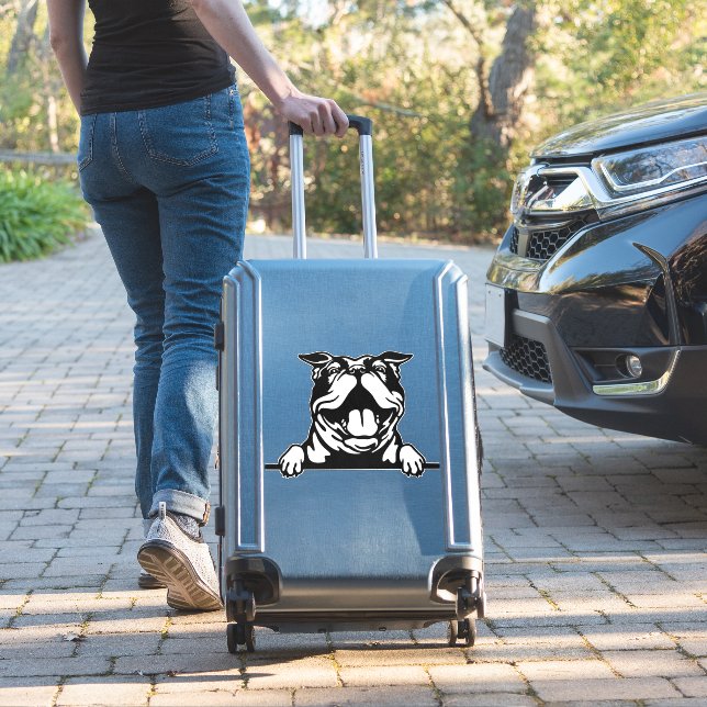 Funny happy Bulldog (Suitcase Insitu)