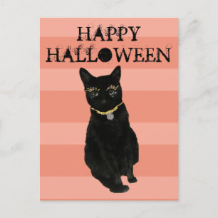 Funny Happy Halloween Black Cat Orange Striped Postcard