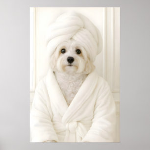 Funny Havanese Bathroom Print, Havanese In Poster
