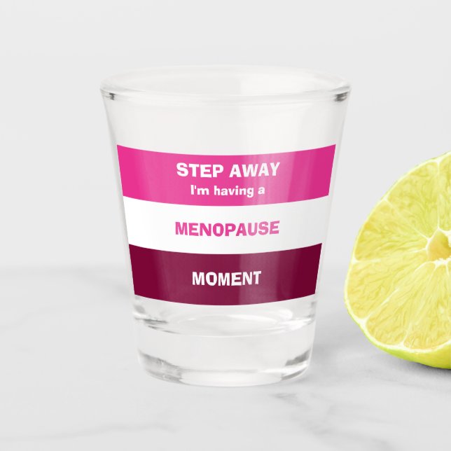 Funny HAVING A MENOPAUSE MOMENT Shot Glass (Front)