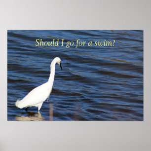 Funny Heron Poster