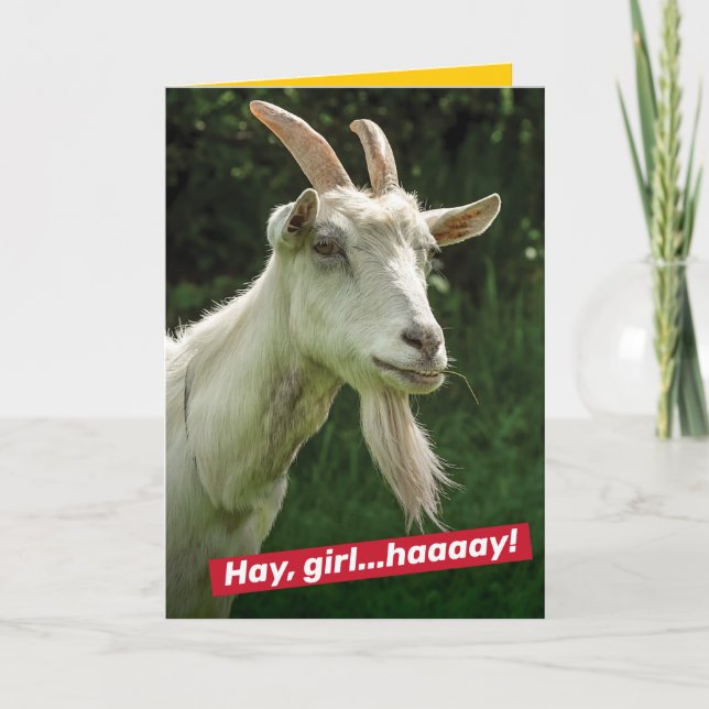 Funny Hey Girl, Hey Ryan Gosling Goat Spoof Card (Front)