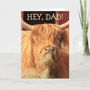 Funny Highland Cattle Father's Day Holiday Card