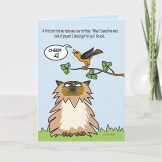 Funny Himalayan Cat Birthday Card