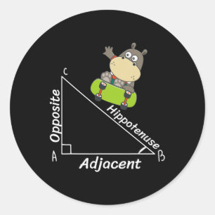 Funny Hipo Skater Geometry Hypotenuse Math Boy Gir Classic Round Sticker