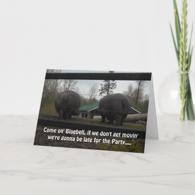 Funny Hippopotamus Birthday Greeting Card (Front)